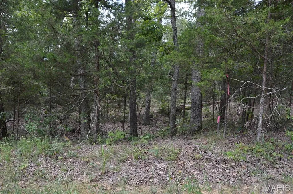 0 Beach, Ste Genevieve, MO 63670 - Image #1