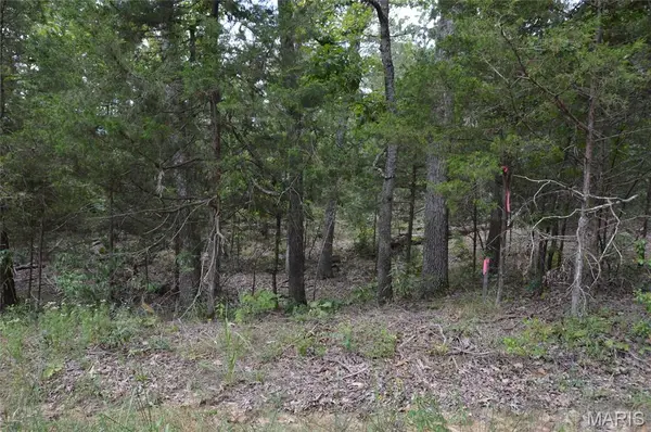 0 Beach, Ste Genevieve, MO 63670