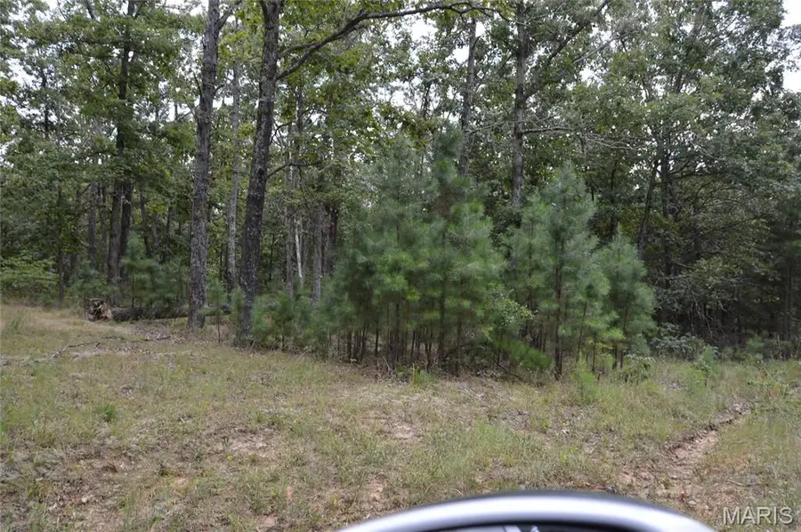 0 Beach, Ste Genevieve, MO 63670 - Image #2