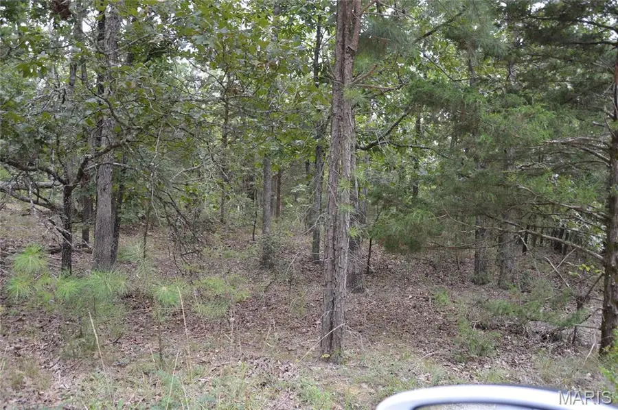 0 Beach, Ste Genevieve, MO 63670 - Image #3