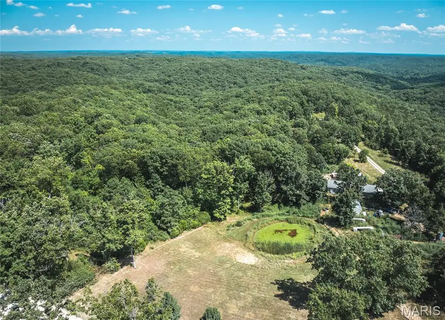 662 Nixon School Road, Leasburg, MO 65535 - Image #3