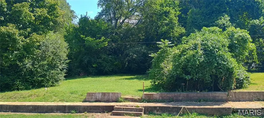 0 Vine Street, Doniphan, MO 63935 - Image #2