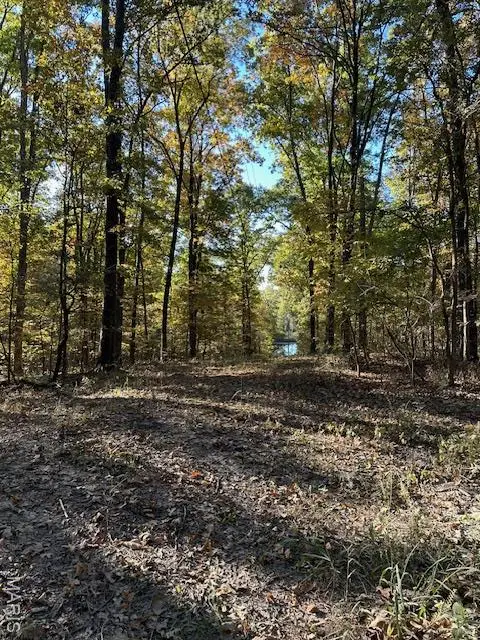 747 Hohokam Lane, Jackson, MO 63755 - Image #1