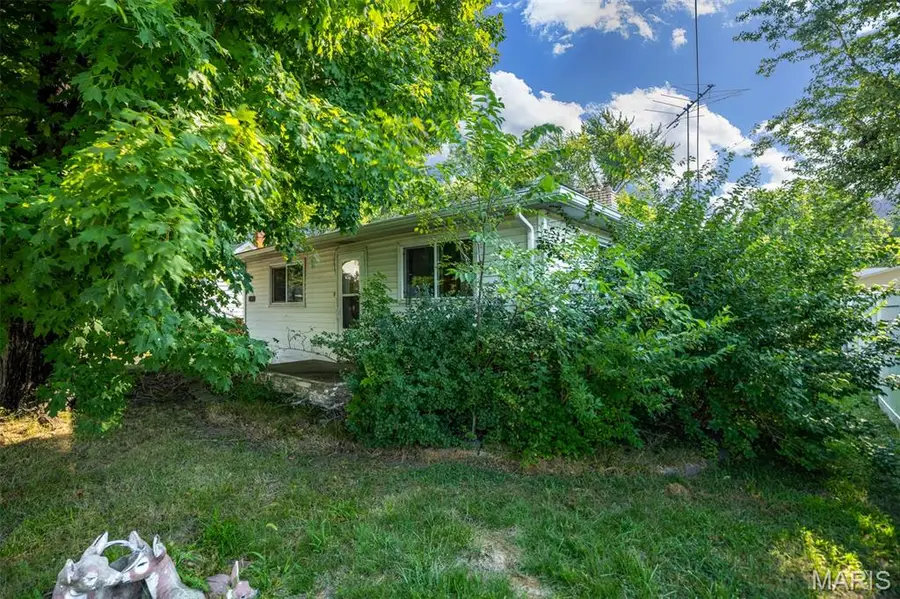 107 Richard Street, Gillespie, IL 62033 - Image #2