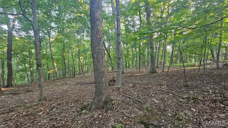 11A Nottingham Court, Lake Sherwood, MO 63357 - Image #2