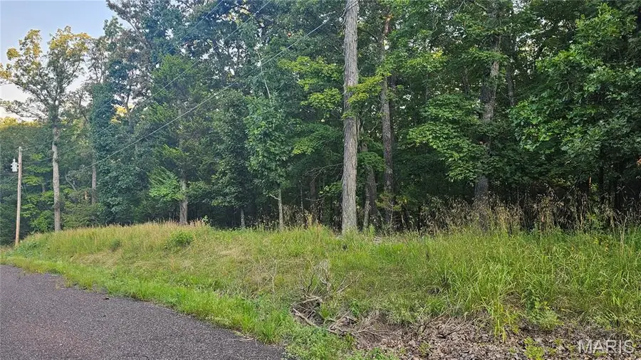 11A Nottingham Court, Lake Sherwood, MO 63357 - Image #3