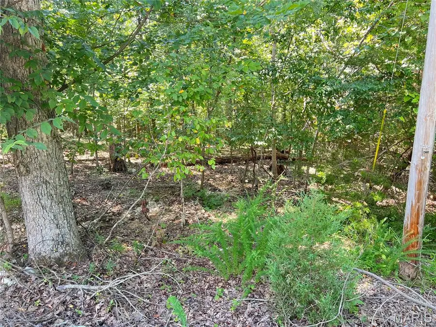 5101 W Loop Drive, Perryville, MO 63775 - Image #3