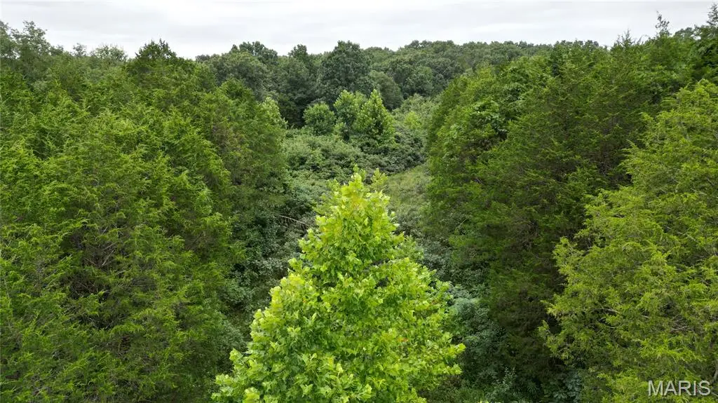 6135 Tall Cedars Road, Hillsboro, MO 63050 - Image #1