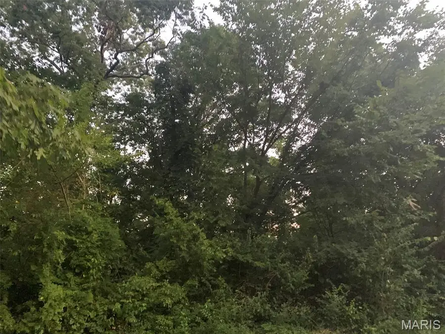 2+/- acres Ferdinand Street, Saint Clair, MO 63077 - Image #2