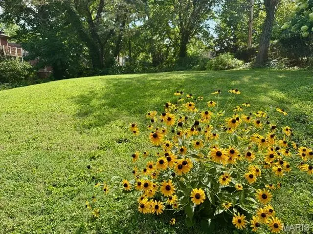 8 Benton Place, Saint Louis, MO 63104 - Image #3