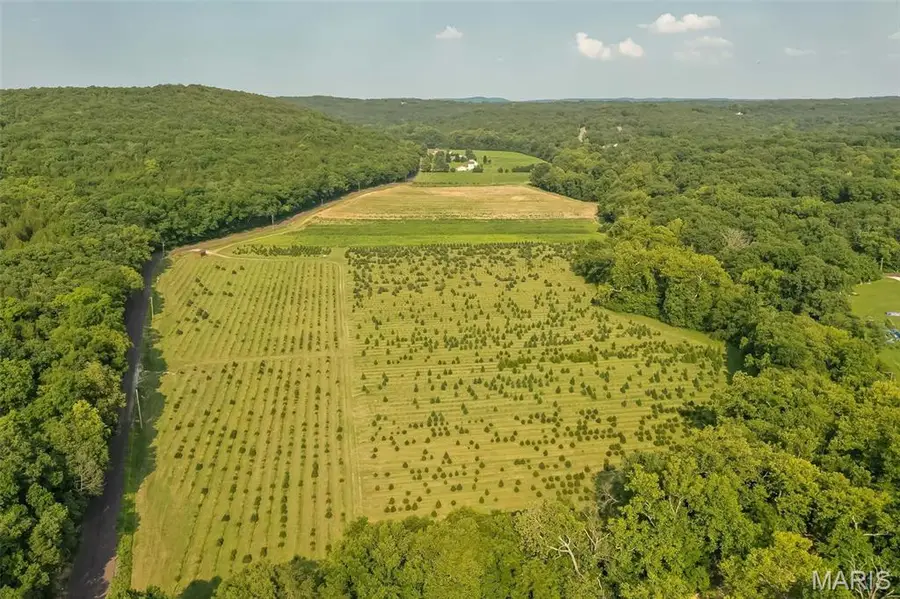 14560 Dry Fork Road, Festus, MO 63028 - Image #2