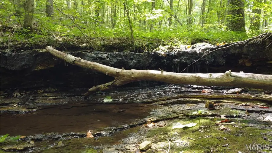 10223 San Juan Trail, Sullivan, MO 63080 - Image #2