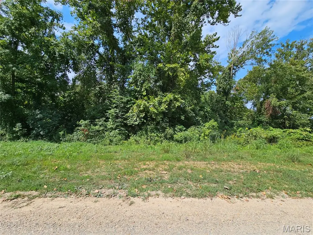 Lot 1 & 2 Ext Deer Run Plat 5, Van Buren, MO 63965 - Image #1