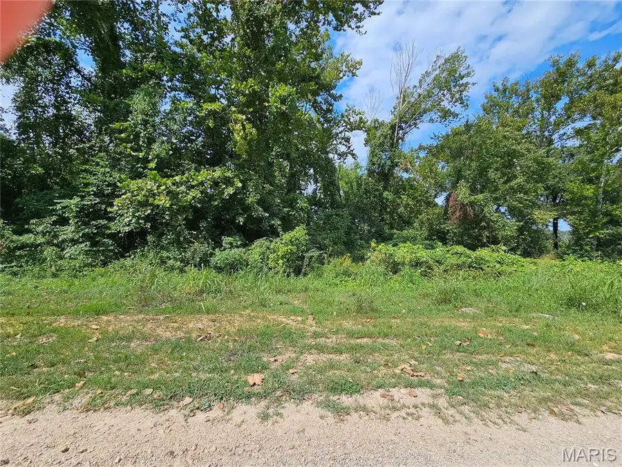 Lot 1 & 2 Ext Deer Run Plat 5, Van Buren, MO 63965 - Image #2