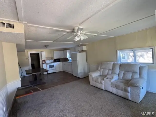 508 Apple Street, Poplar Bluff, MO 63901 - Image #3