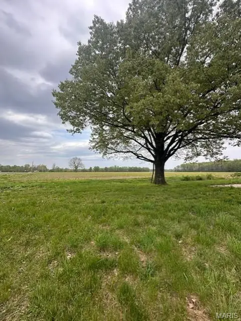 1464 County Road 309, Poplar Bluff, MO 63901 - Image #2