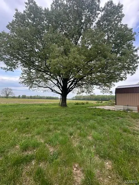 1464 County Road 309, Poplar Bluff, MO 63901 - Image #3