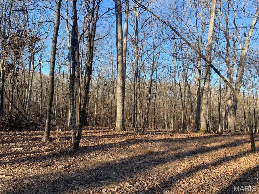 15 +/- Acres Polston Ln., Marthasville, MO 63357 - Image #2