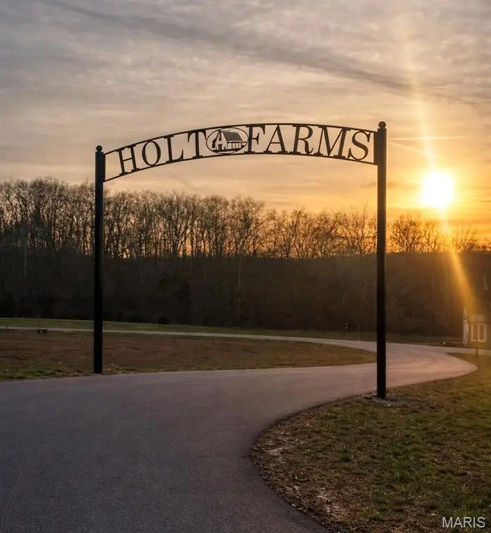 Lot 23 Holt Summit Court, Wentzville, MO 63385 - #2