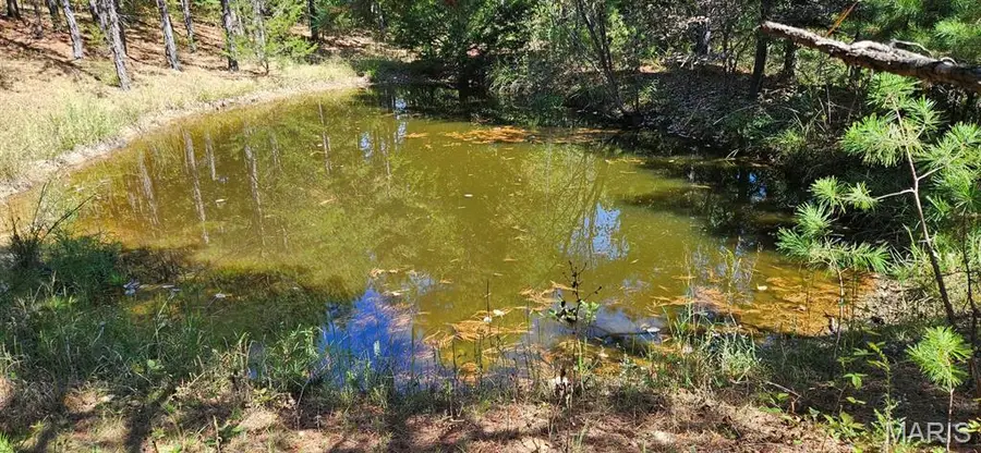 0 County Road 924, Bunker, MO 63629 - Image #3