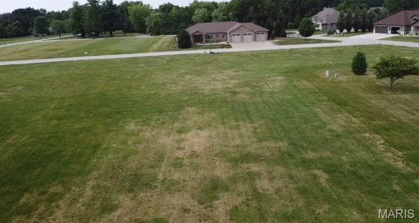 18415 Oxford Road, Staunton, IL 62088 - Image #3