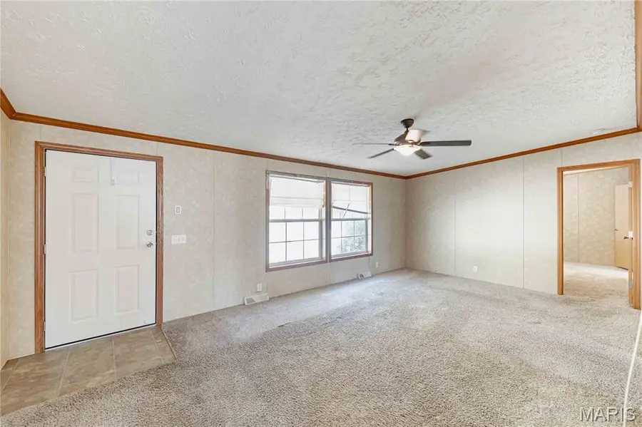 3900 Rice Road, Hillsboro, MO 63050 - Image #2