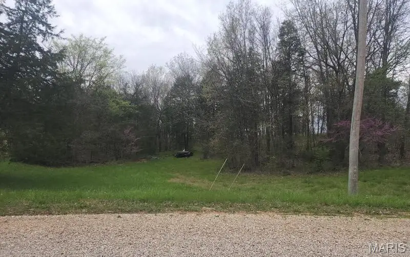 Lot #8 Anthonies Mill Road, Bourbon, MO 65441 - Image #3