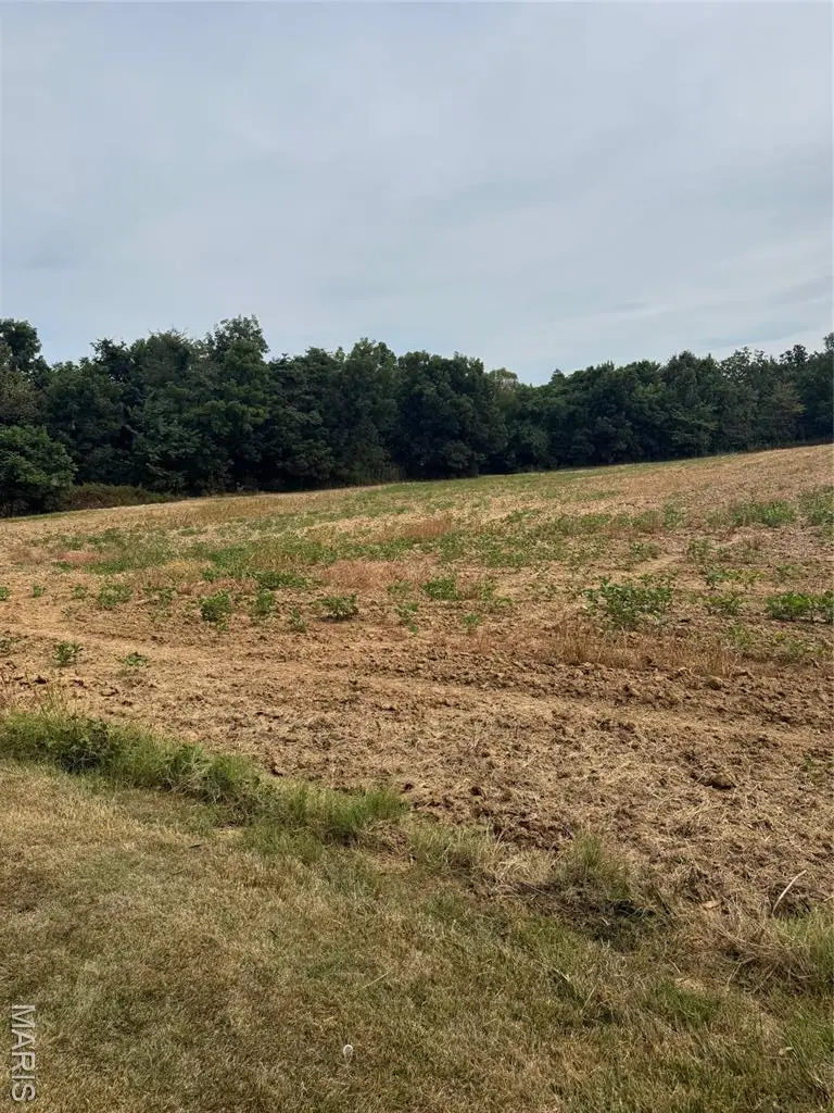 6130 County Road 651, Dexter, MO 63841 - Image #2