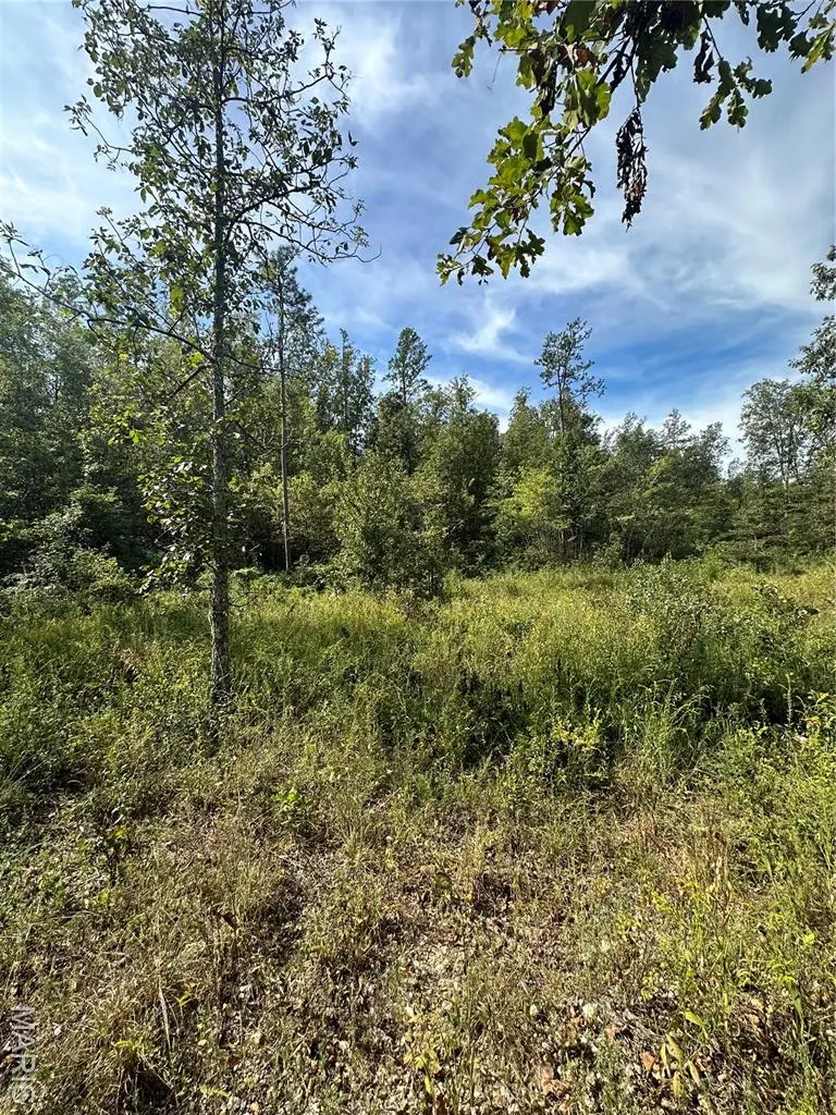 TBD County Road 636, Ellington, MO 63638 - Image #2