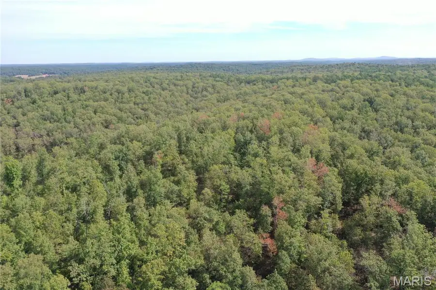 TBD County Road 636, Ellington, MO 63638 - Image #3