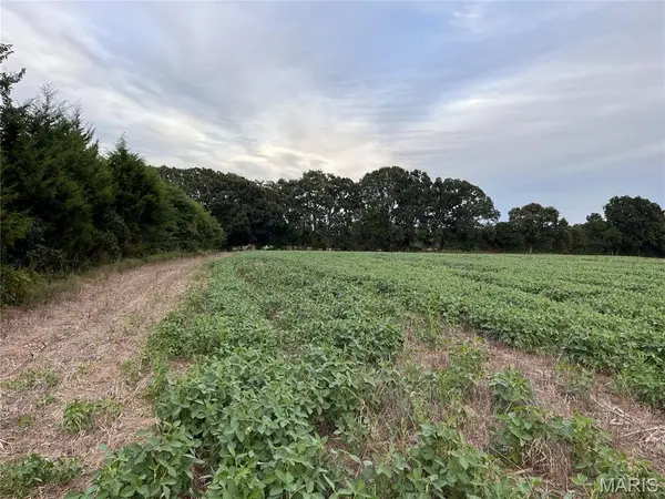 TBD Big Sky Rd, Beaufort, MO 63013