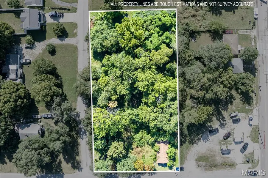 3300 Mccasland Avenue, East Saint Louis, IL 62207 - Image #2