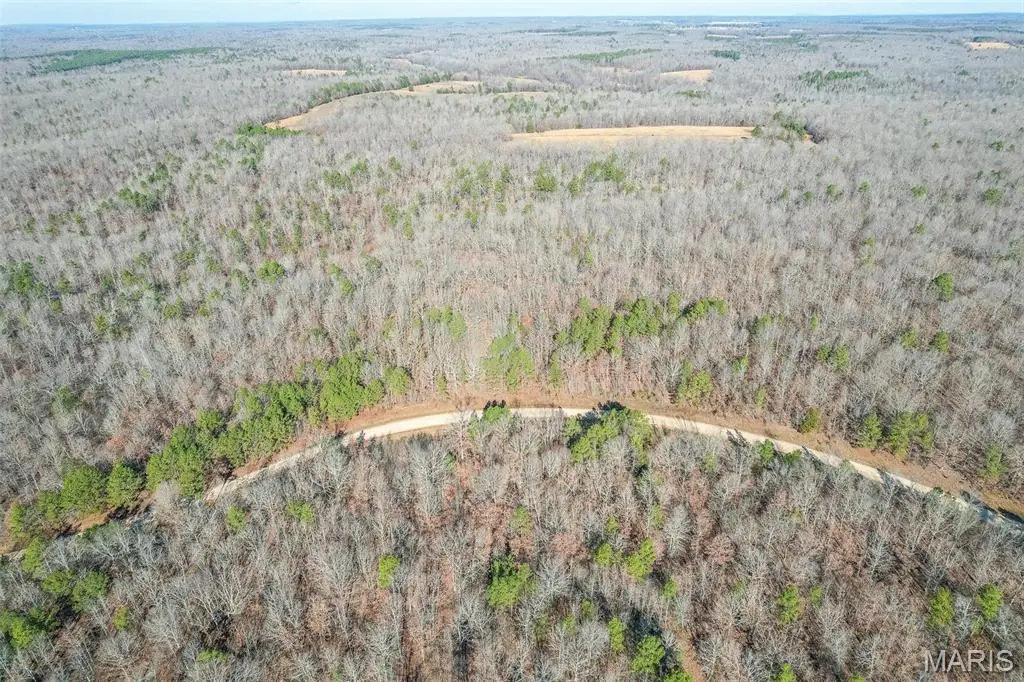 0 Ripley Bb-2, Grandin, MO 63943 - Image #1