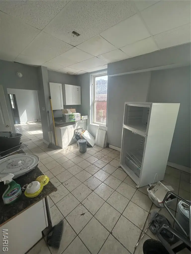 3030 Chippewa Street, Saint Louis, MO 63118 - Image #2