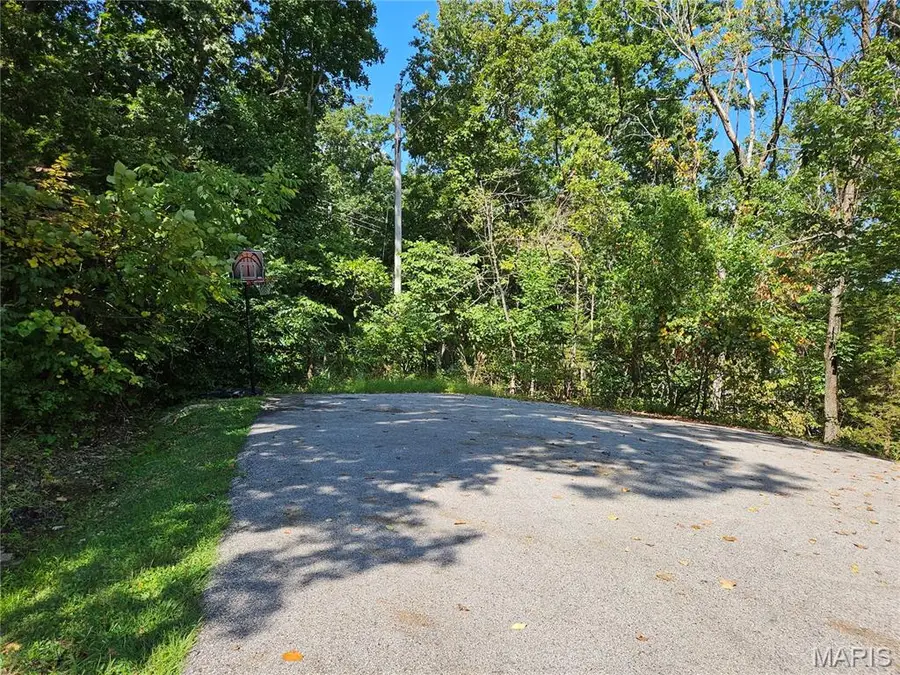 10101 Lake Ridge Court, Hillsboro, MO 63050 - #3