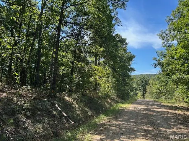 1 County Road 137, Annapolis, MO 63620 - Image #1