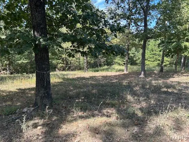 1087 Main St, Annapolis, MO 63620 - Image #2