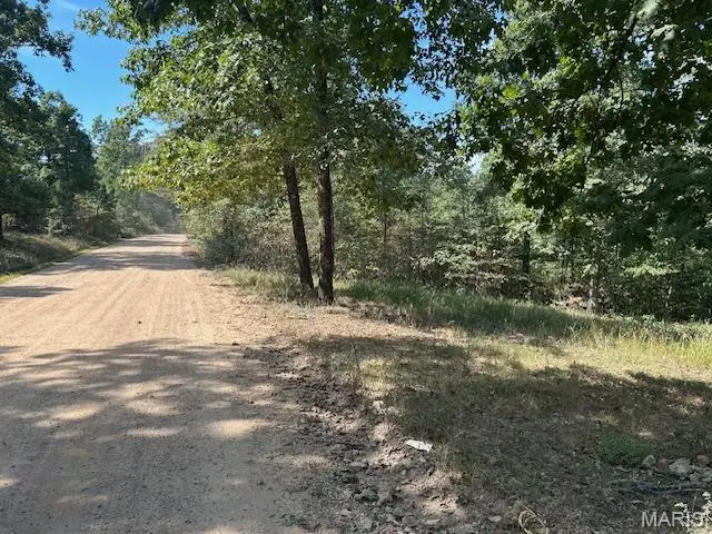 1087 Main St, Annapolis, MO 63620 - Image #3