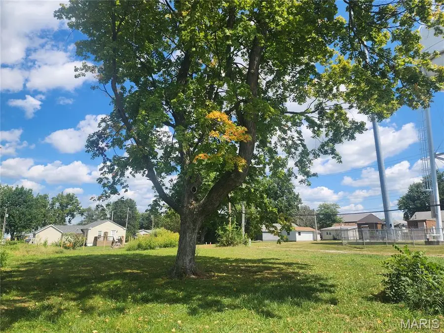 401 W Warren Street, Bunker Hill, IL 62014 - Image #2