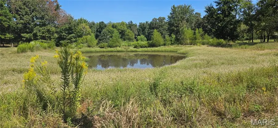 0 N Red Pine Lane, Poplar Bluff, MO 63901 - Image #2