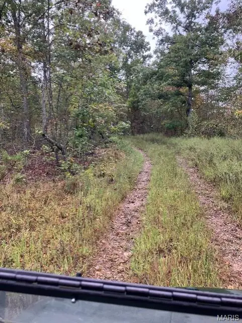 166 Madison Cr 410, Fredericktown, MO 63645 - Image #3