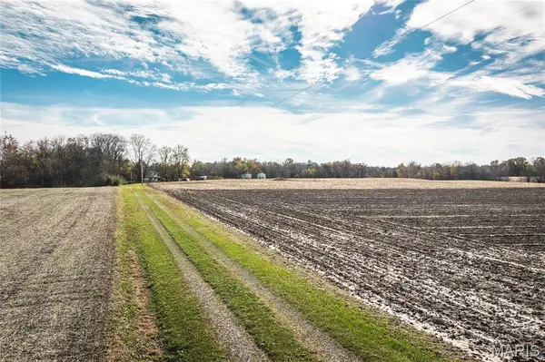 32987 T B Ruyle Road, Medora, IL 62063