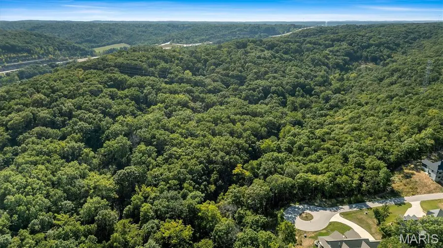 158 Long Oaks Drive, Imperial, MO 63052 - Image #2