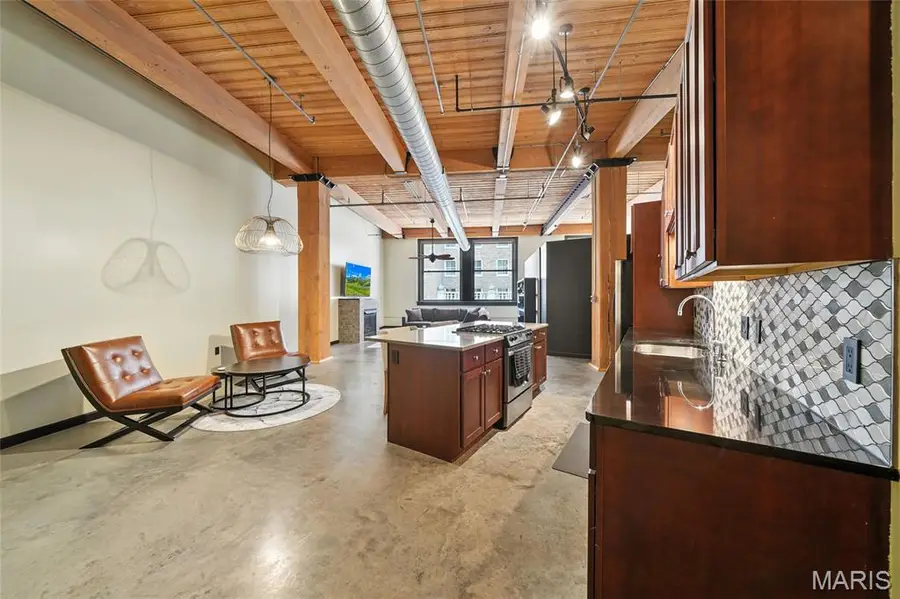 901 Washington Avenue #305, Saint Louis, MO 63101 - Image #2