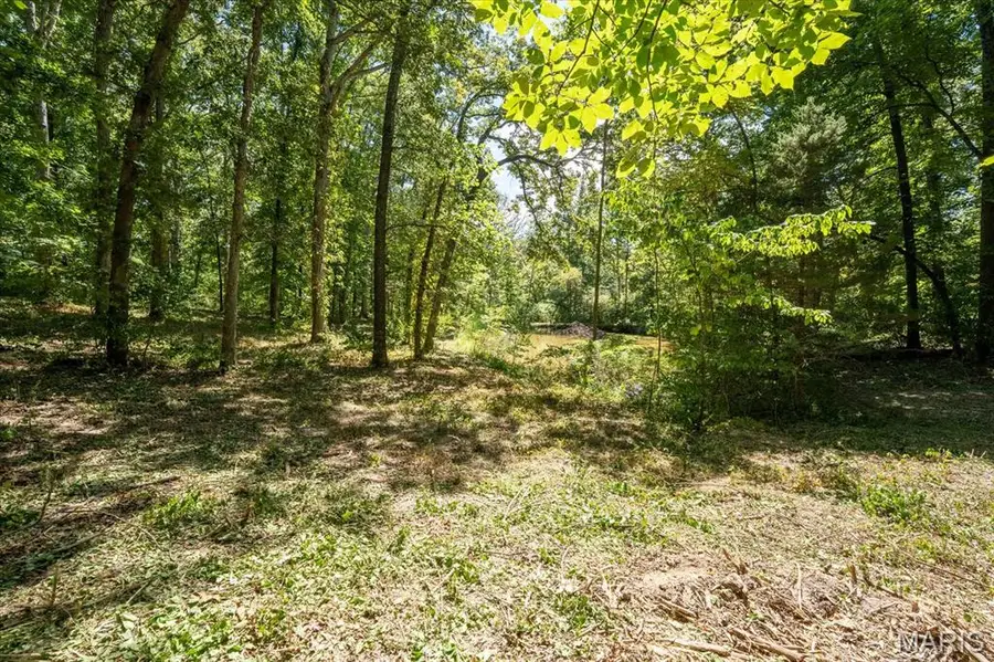 5728 Brand Woods Drive, Waterloo, IL 62298 - Image #2