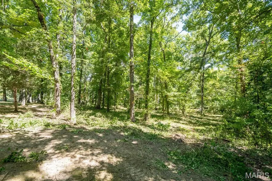 5728 Brand Woods Drive, Waterloo, IL 62298 - Image #3