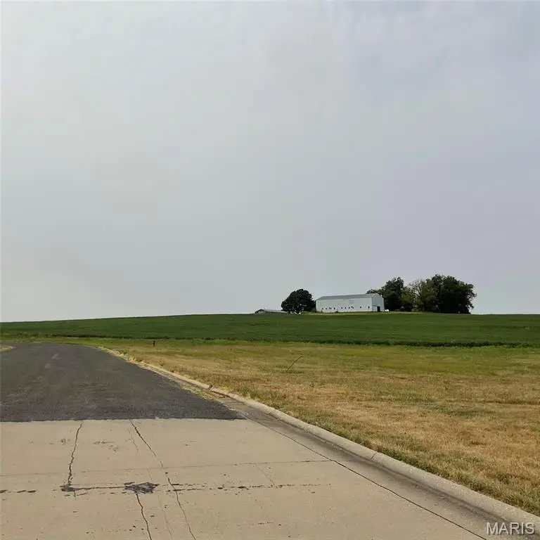 XXX Faith Dr, Highland, IL 62249 - Image #2