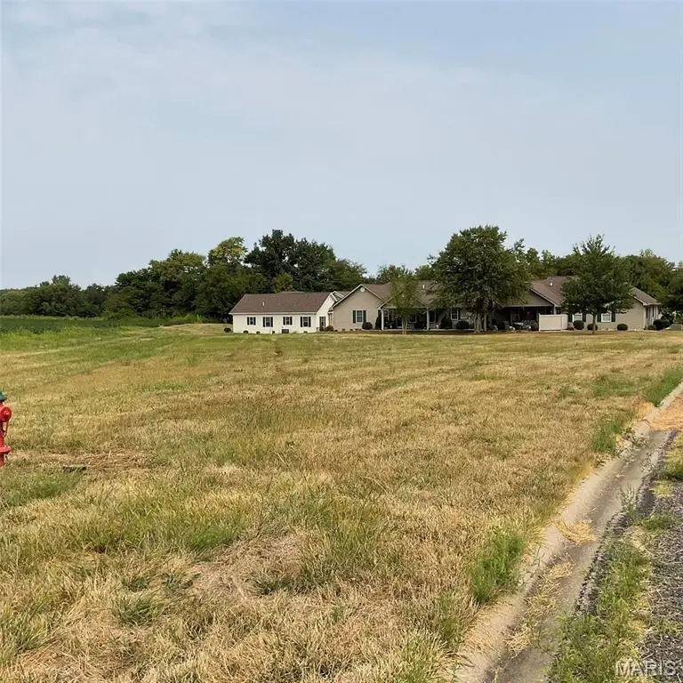 XXX Faith Dr, Highland, IL 62249 - Image #3