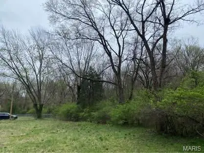 0 Jewell Street, Park Hills, MO 63601 - Image #2