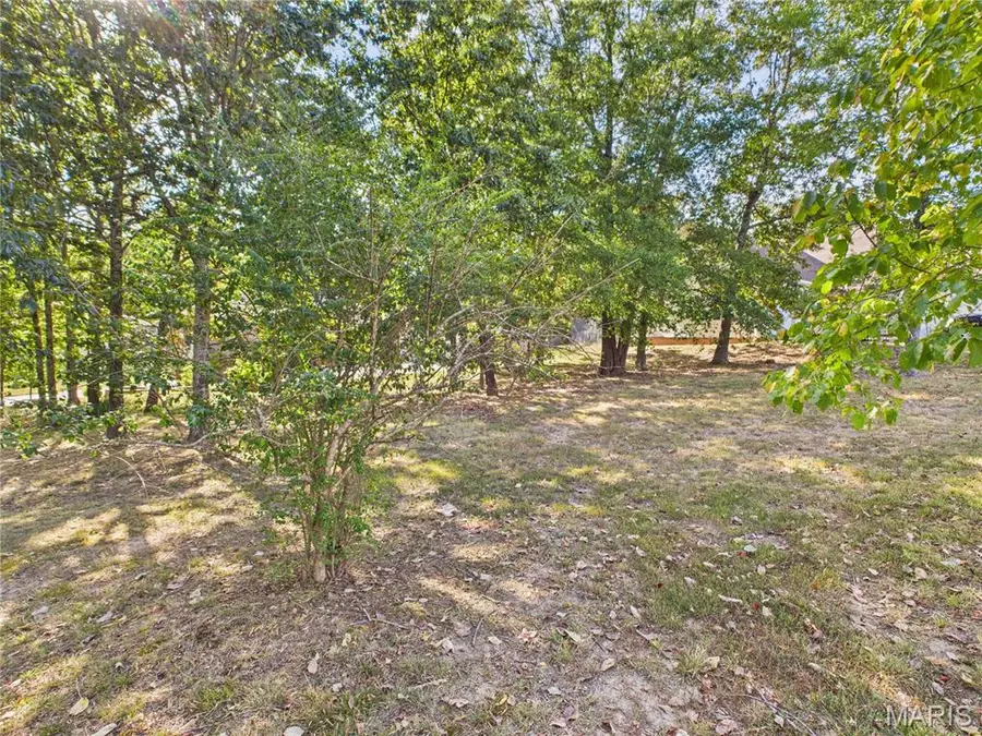 0 Brownwood Trails #18, Poplar Bluff, MO 63901 - Image #2